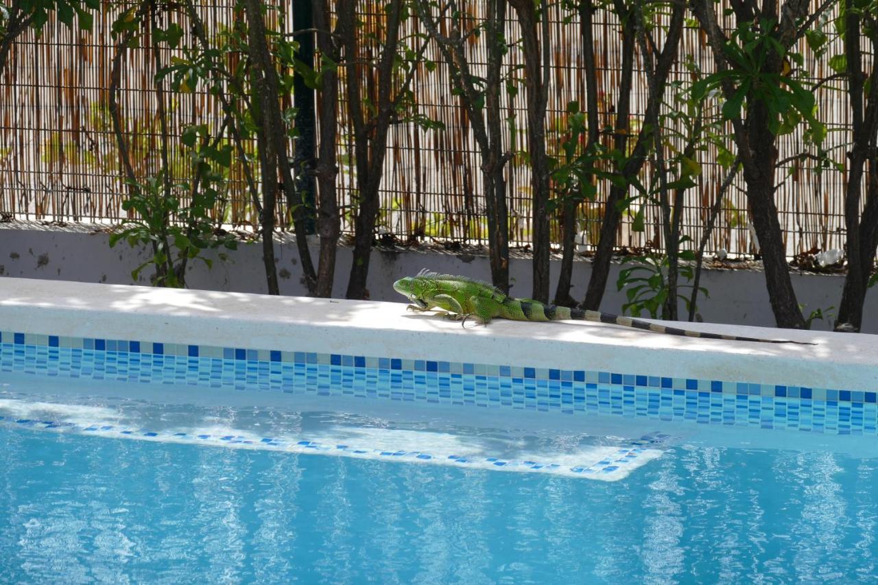 Villa De Mango Fontein Экстерьер фото